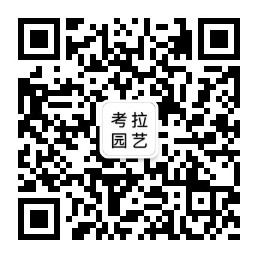 微信公众号